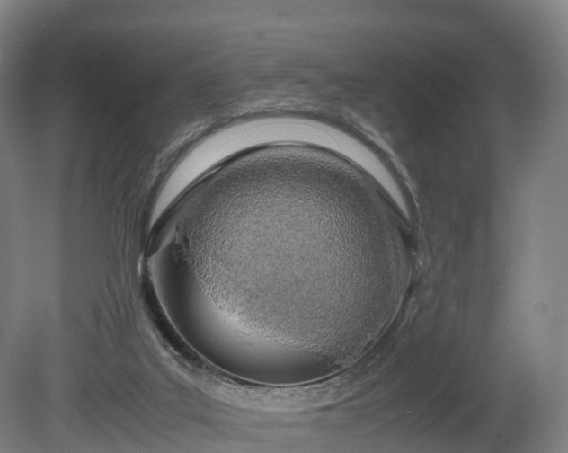 X0000080110019200612151658