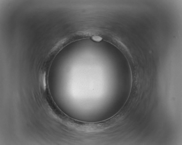 X0000080110020200612151658
