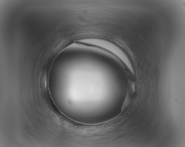 X0000080110021200612151658