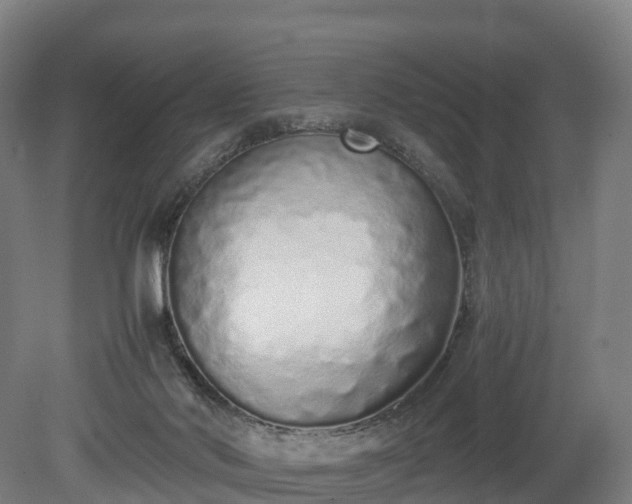 X0000080110022200612151658