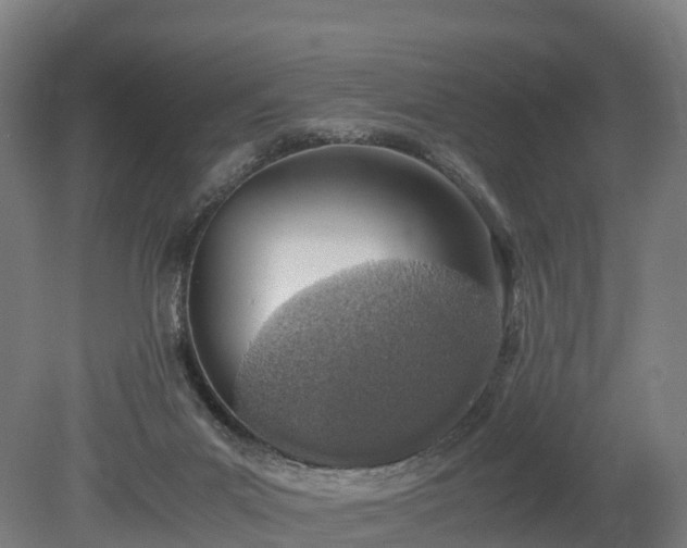 X0000080110023200612151658