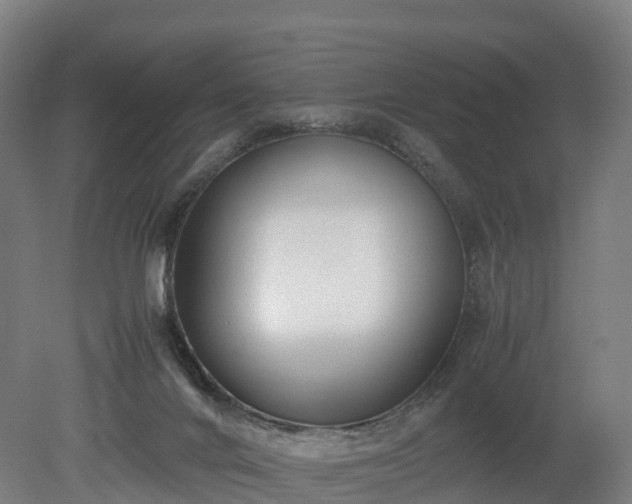 X0000080110024200612151658