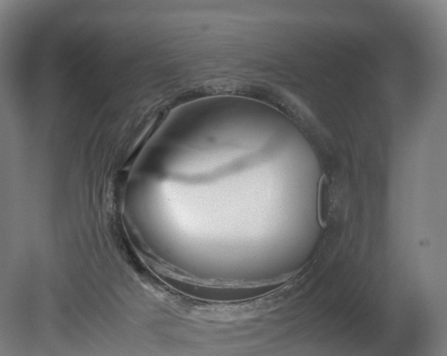 X0000080110025200612151658