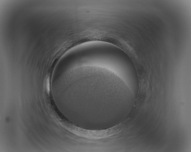 X0000080110027200612151658