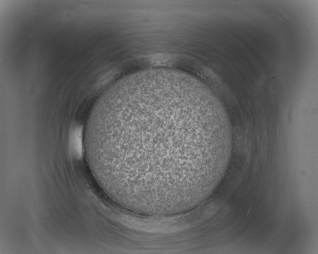 X0000080110028200612151658