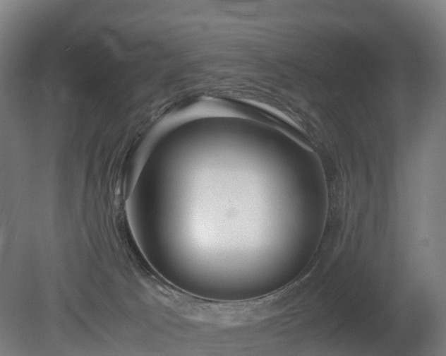 X0000080110033200612151658