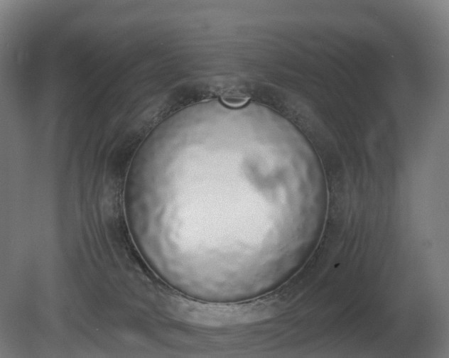 X0000080110034200612151658