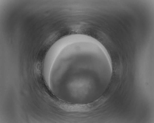 X0000080110036200612151658