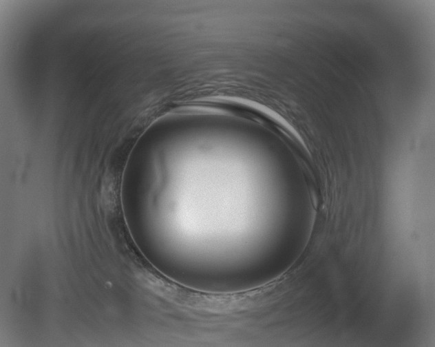 X0000080110037200612151658