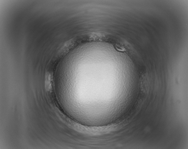 X0000080110038200612151658