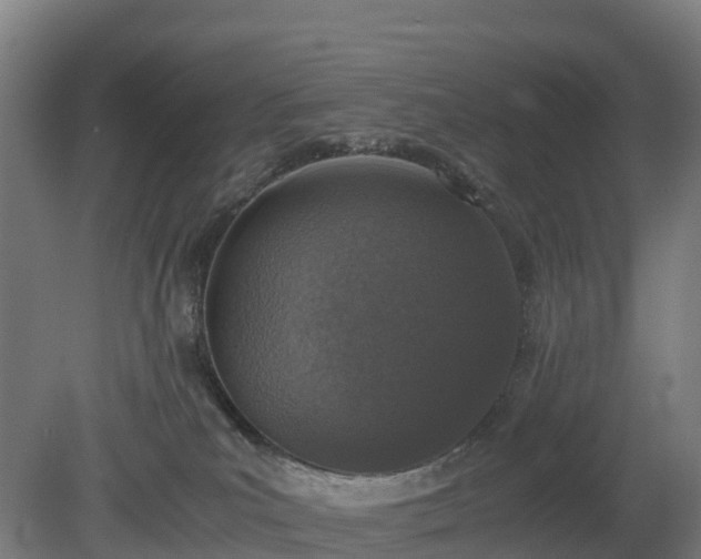 X0000080110039200612151658