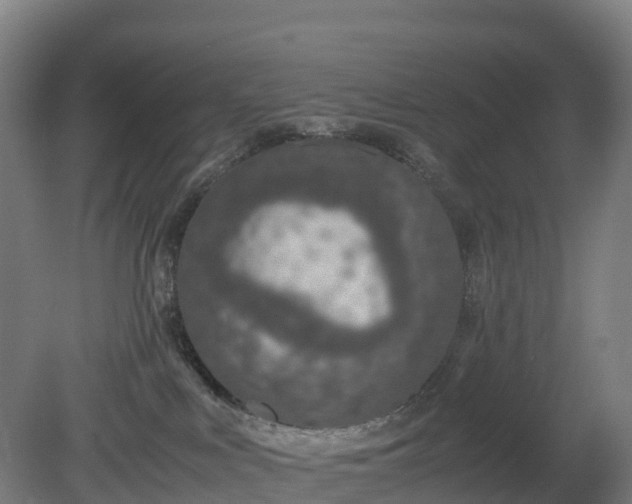 X0000080110043200612151658