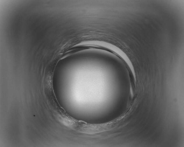 X0000080110045200612151658