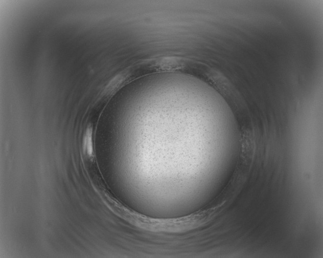 X0000080110046200612151658