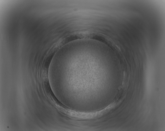 X0000080110048200612151658
