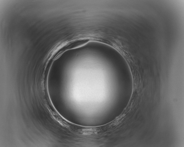 X0000080110050200612151657