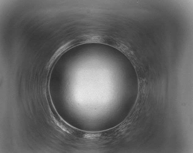 X0000080110051200612151657