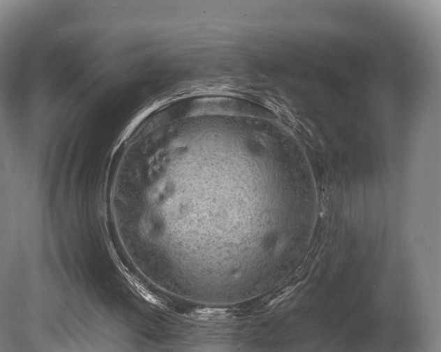 X0000080110052200612151657
