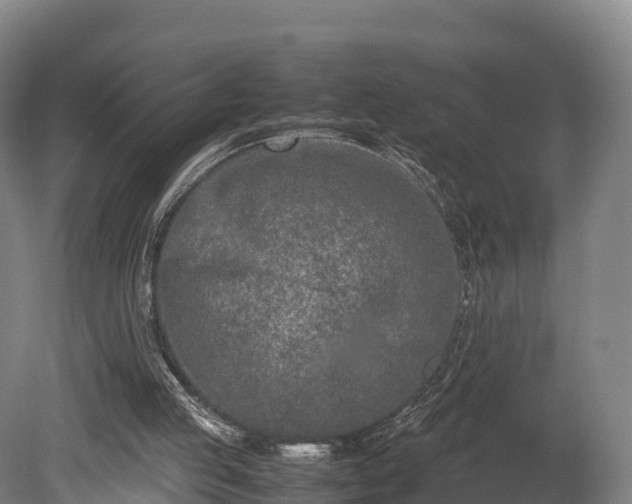 X0000080110053200612151657