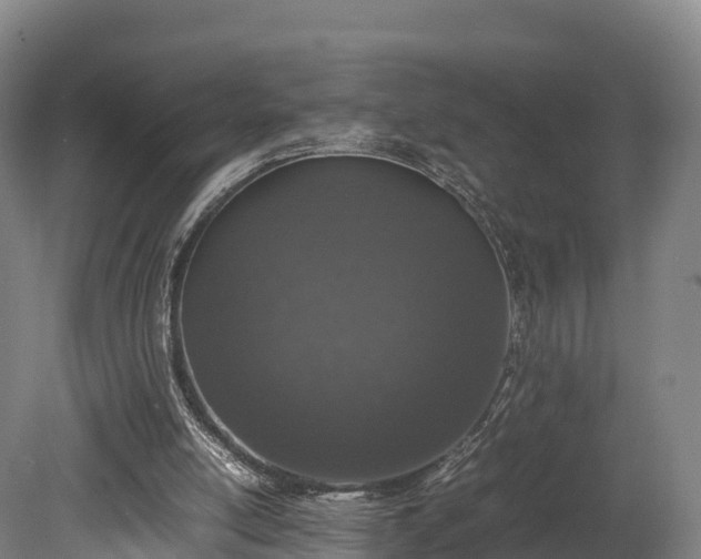 X0000080110054200612151657