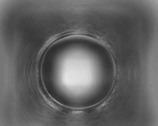 X0000080110055200612151657