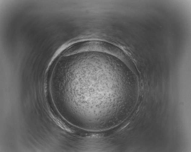 X0000080110056200612151657