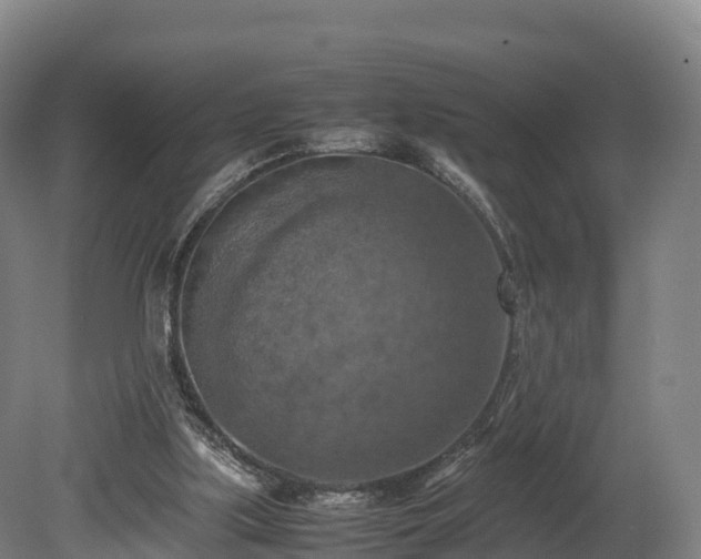 X0000080110059200612151657