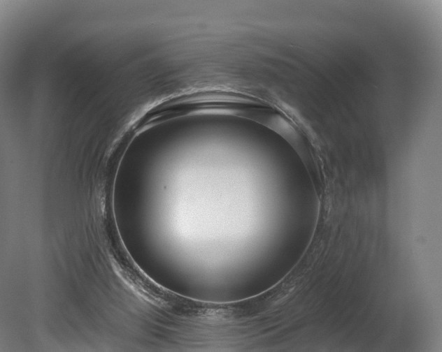 X0000080110060200612151657