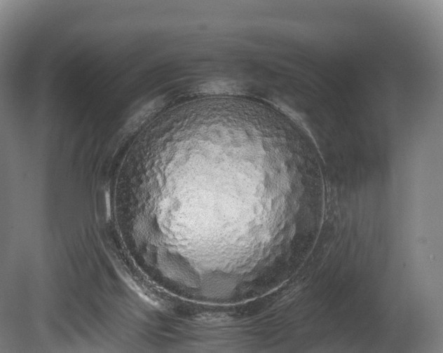 X0000080110061200612151657