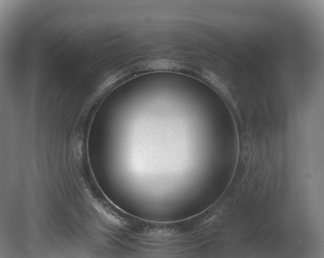 X0000080110063200612151657