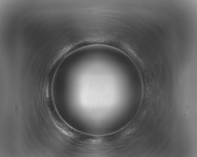 X0000080110068200612151657