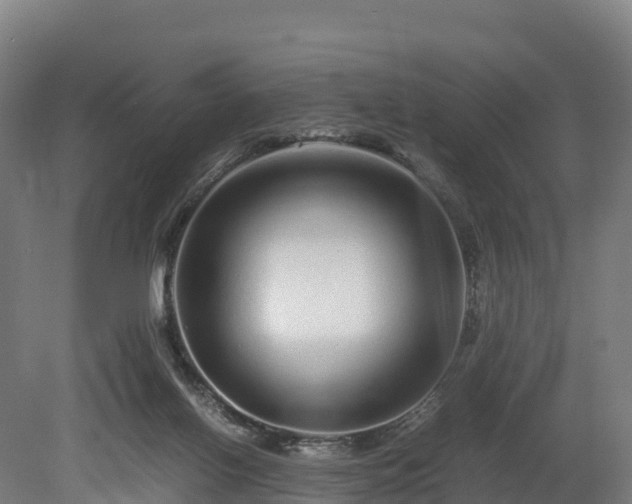 X0000080110070200612151657