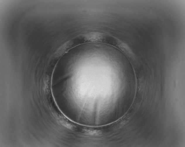 X0000080110073200612151657