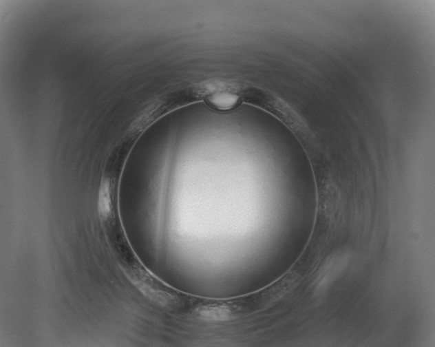 X0000080110075200612151657