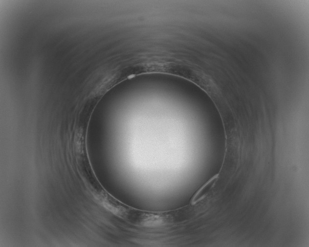 X0000080110083200612151658