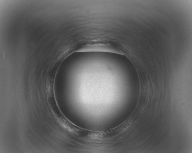 X0000080110084200612151658