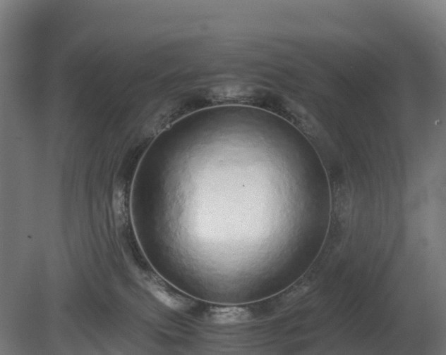 X0000080110087200612151658
