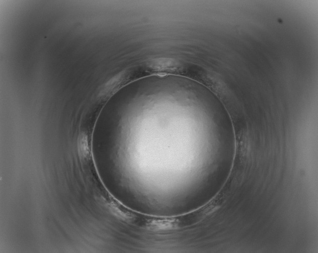 X0000080110089200612151658