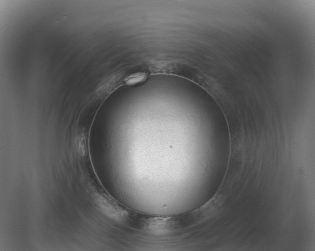 X0000080110090200612151658