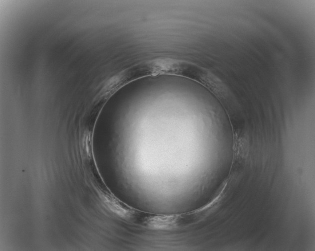 X0000080110094200612151658