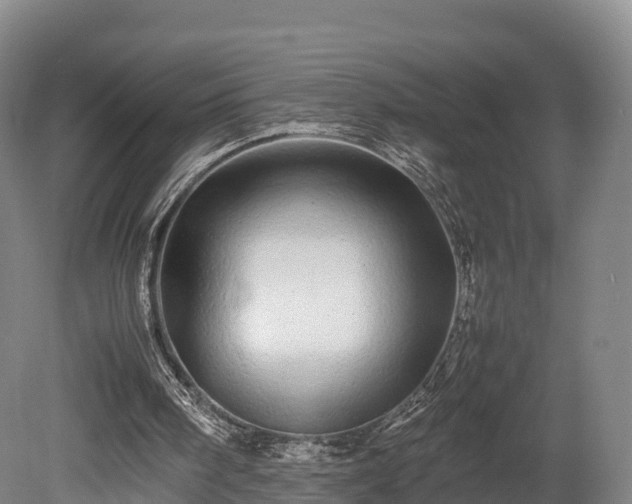 X0000080110098200612151657