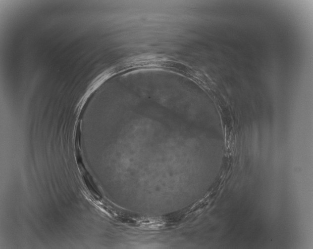 X0000080110099200612151657