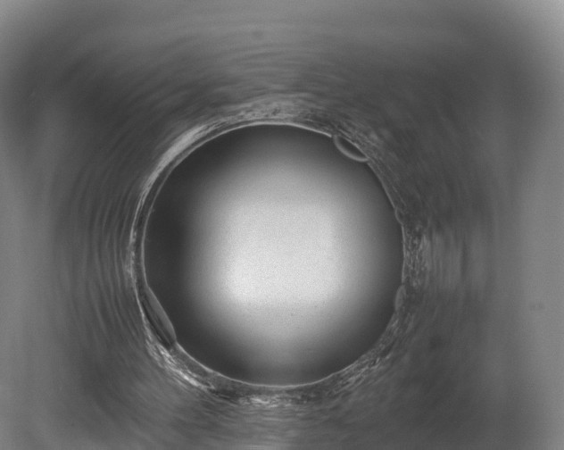 X0000080110100200612151657