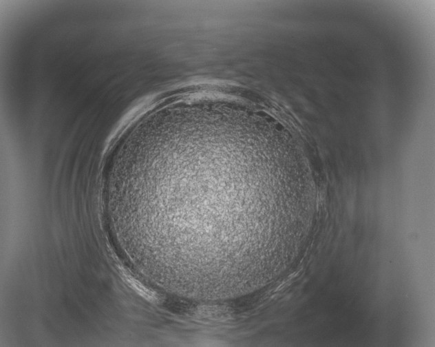 X0000080110101200612151657