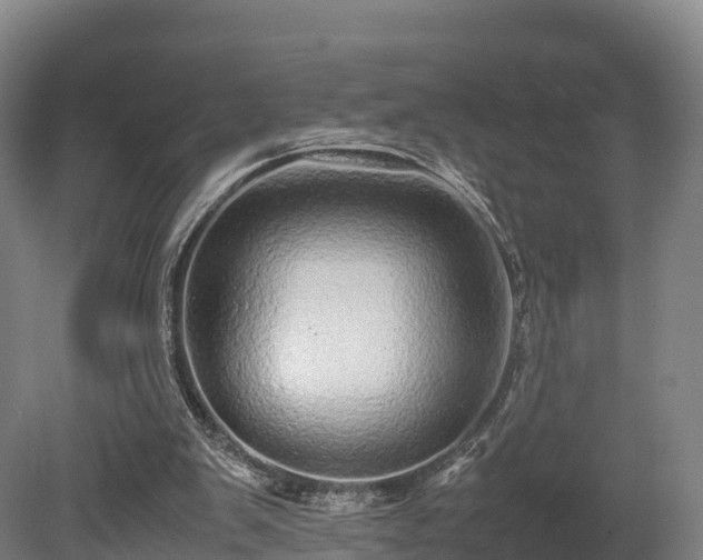 X0000080110103200612151657