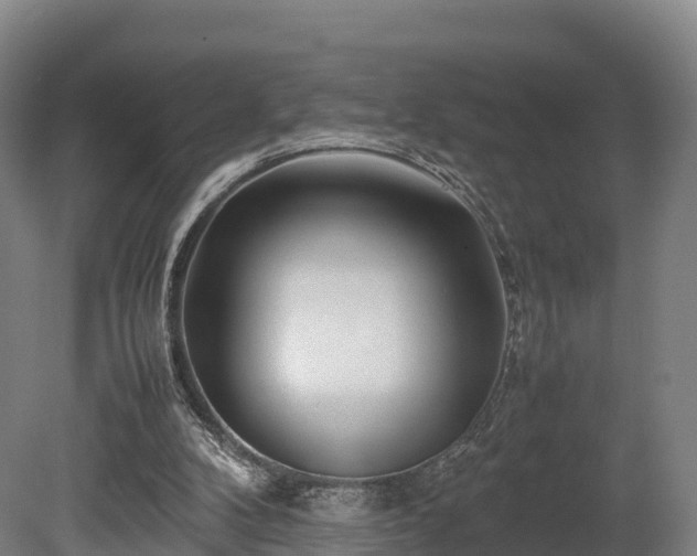 X0000080110104200612151657