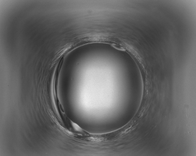 X0000080110105200612151657