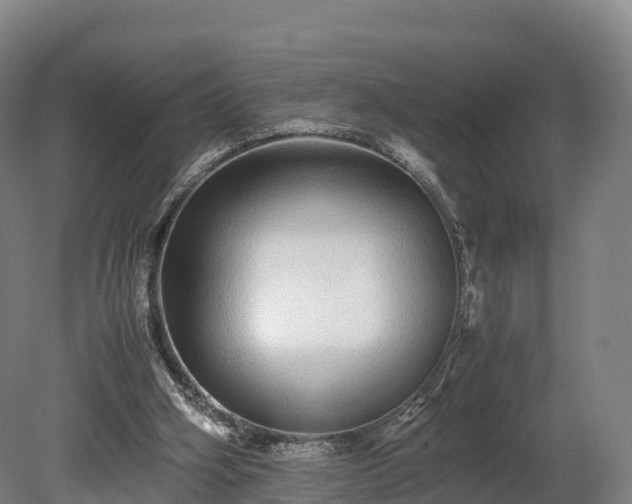 X0000080110106200612151657