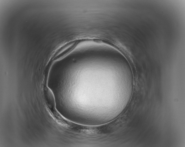 X0000080110107200612151657