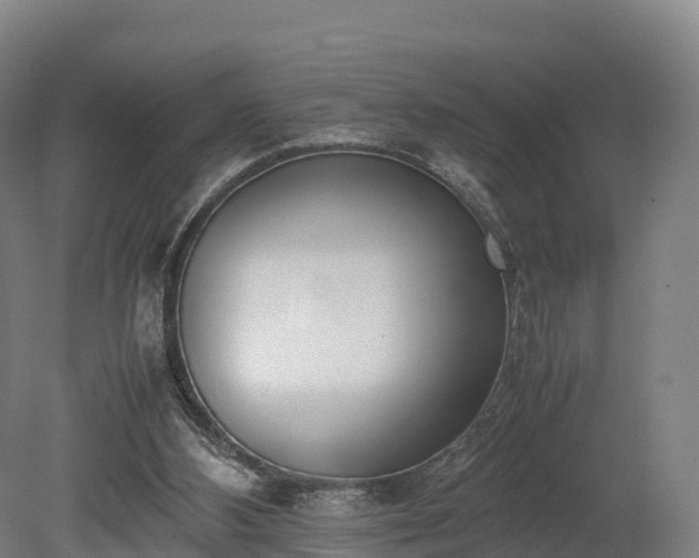 X0000080110108200612151657